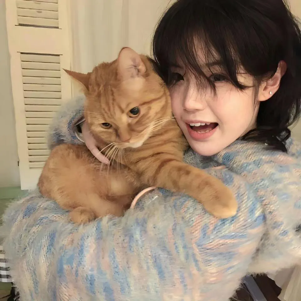 迟欢似是顾人来